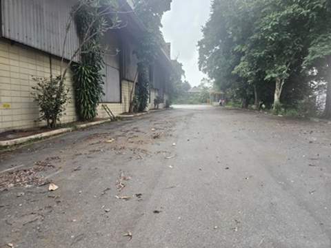 Galpão para alugar em Guarulhos (V Nova Bonsucesso), 12 banheiros, 30 vagas, 17.500 m2 de área útil, código 181-1939 (7/11)