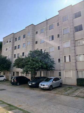 Apartamento para alugar em Guarulhos (Jd Pres Dutra), 2 dormitórios, 1 banheiro, 1 vaga, código 300-1138 (1/14)